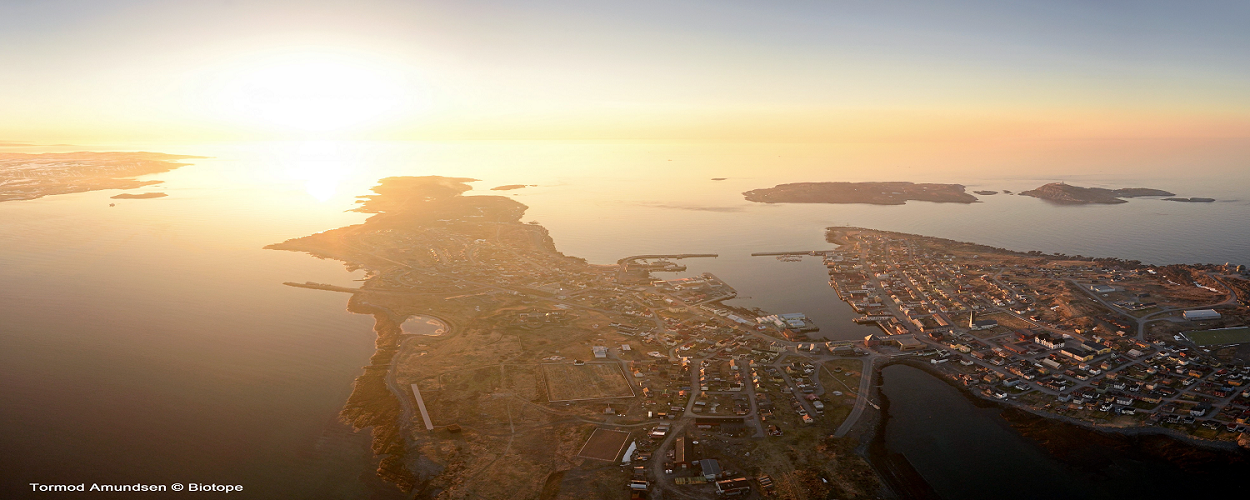 Vardø kommune